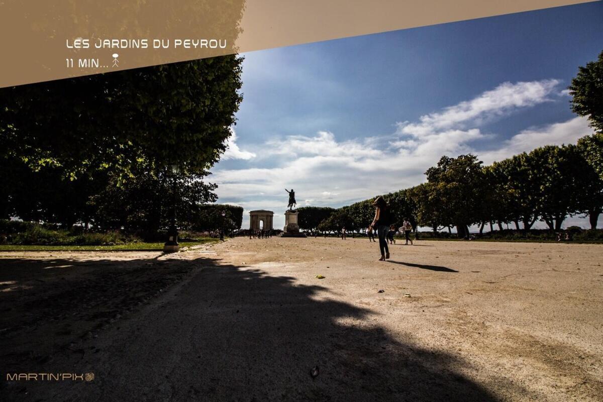 L'Amoureux - Terrasse Et Climatisation Coeur De Ville Montpellier Eksteriør billede